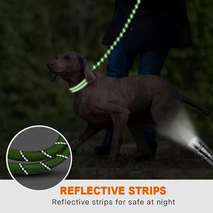 Taglory Rope Dog Leash for Medium Large Dogs, 5 FT Padded Handle, Green | Climbing Rope for Strong Pullers, Reflective for Night Walks and Training, Comfortable Grip, Anti-tangle Swivel Clip 1/2 inch