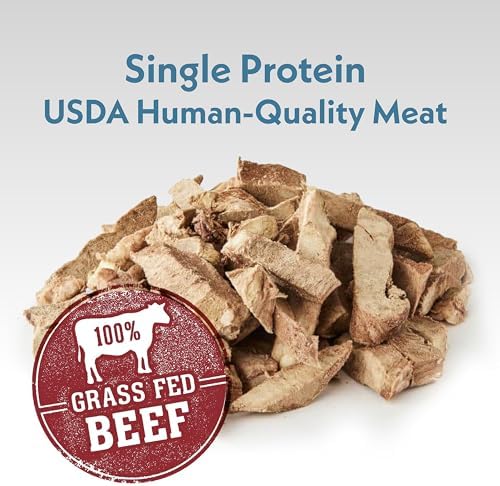Fresh Is Best Beef Heart Fillets Freeze Dried Dog Treats for Cats & Dogs