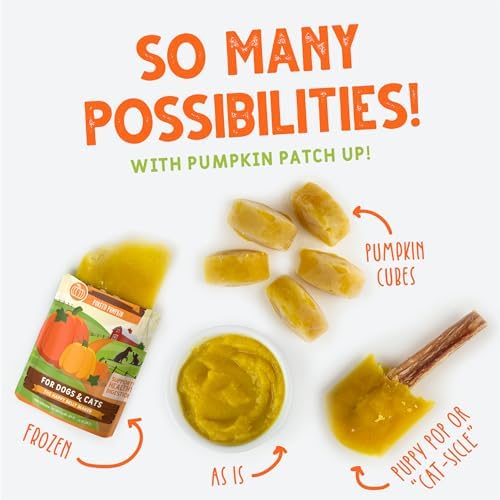 Weruva Pumpkin Patch Up! Pumpkin Pumpkin, What's Your Function? Variety Pack for Dogs & Cats, 2.8oz Pouch (Pack of 12)