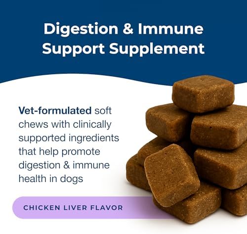 PetAg Dyne Digestion & Immune Support Soft Chews for Dogs | 60 Count
