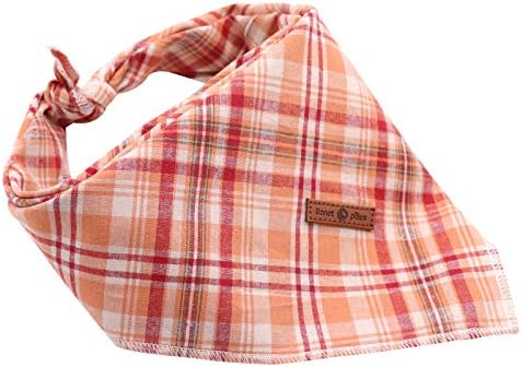 Lionet Paws Fall Dog Bandana Halloween Thanksgiving Washable Cotton Handkerchief Scarf Triangle Bandana for, Small (Pack of 1), Small