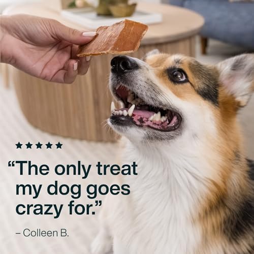JustFoodForDogs Single Ingredient Jerky Dog Treats - Chicken Breast, 5oz
