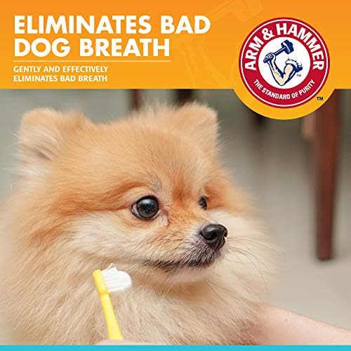 Arm & Hammer Fresh Breath Enzymatic Dog Toothpaste, 2.5 Oz, 72-Pack | Baking soda dental gel eliminates bad breath, safe for daily use in puppies and adult dogs