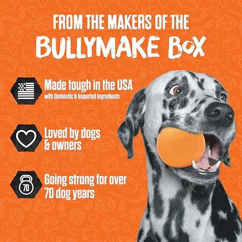BULLYMAKE Tough Chew Horseshoe Dog Toy, Durable Nylon, Aggressive Chewers | Dog Chew Toy, Durable Nylon, Aggressive Chewers, Horseshoe Shape, Interactive Play, Power Chewers, Made in USA, Long Lasting