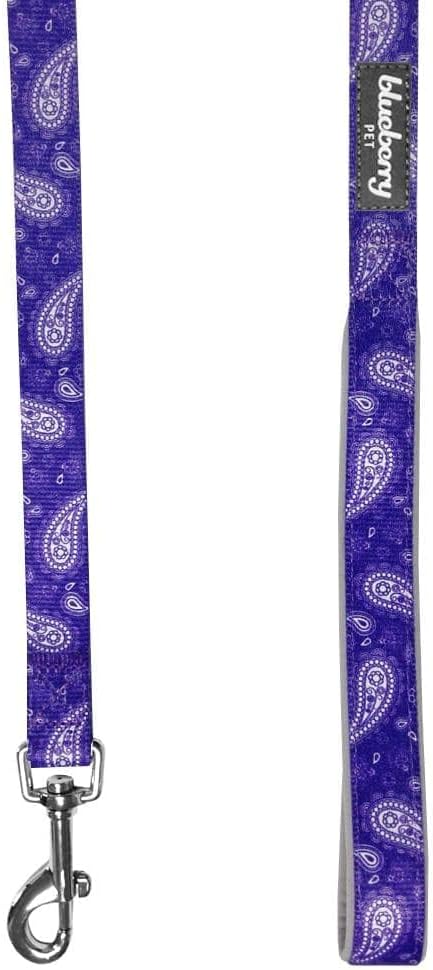 Blueberry Pet 5 Colors Paisley Flower Print Dog Leash with Soft & Comfortable Handle, 5 ft x 5/8", Violet, Small, Leashes for Dogs