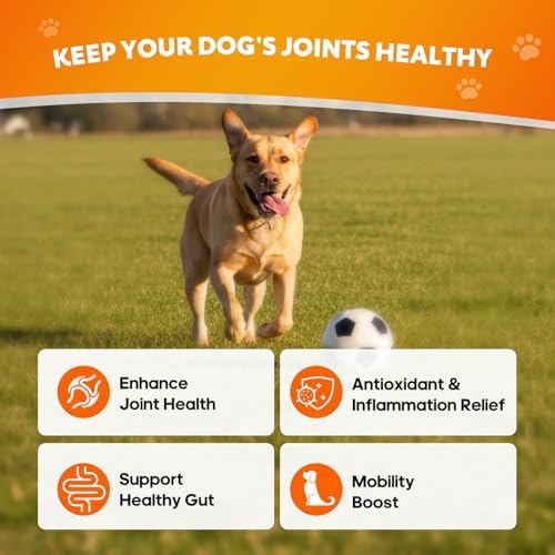Hip & Joint Chews for Dogs, Mobility & Flexibility Support, 120 Ct