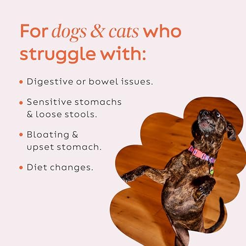 Diggin' Your Dog – Firm Up Pumpkin for Dogs & Cats – Fiber Supplement with Pumpkin & Apple Fiber for Cat & Dog Digestive Support – Made in USA, 16 oz
