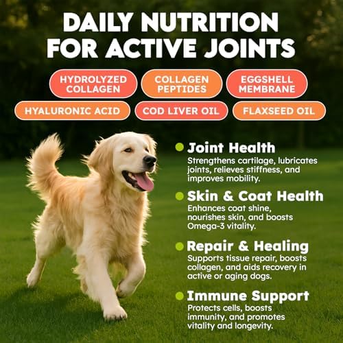 Collagen for Dogs - 150 Chews - Joint, Skin & Coat Supplement with Hyaluronic Acid, Eggshell Membrane & Vitamin C - Daily Hip & Joint Support for Senior Dogs & Puppies - Beef