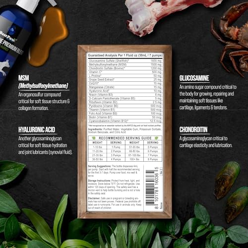 Best Paw Nutrition Liquid Glucosamine for Dogs | Glucosamine Chondroitin MSM with Hyaluronic Acid | Hip and Joint Supplement | Unflavored | Easy Pump Food Topper | 32oz