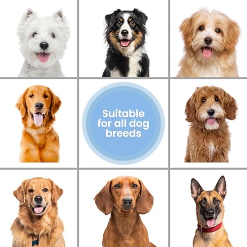 Waterless Dog Shampoo, No-Rinse Foam, Dry Shampoo for Dogs, Mango, 7.1OZ