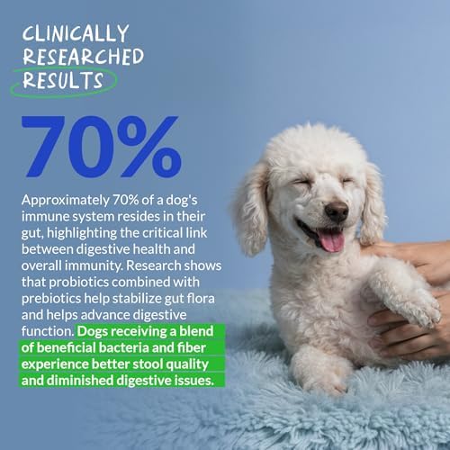 Probiotics for Dogs 90 Soft Chews - Digestive, Gut & Diarrhea