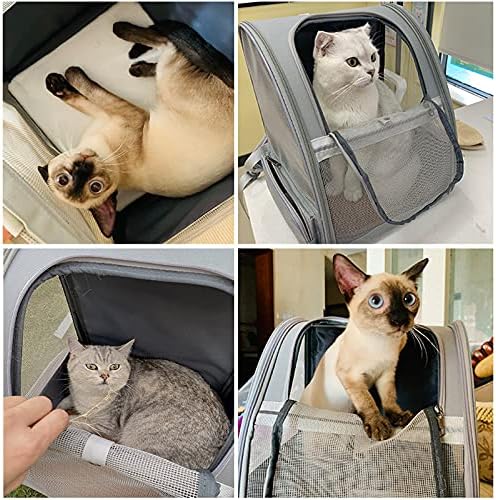 Texsens Bubble Backpack Pet Carrier