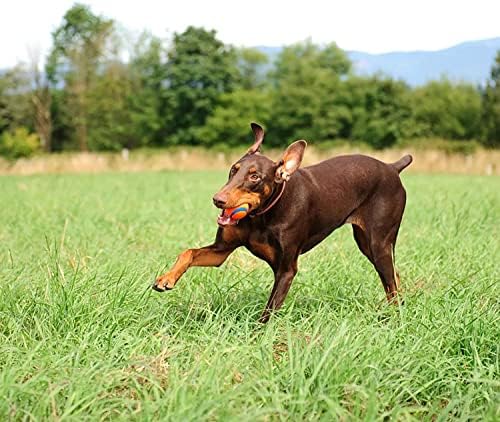 Chuckit! Sport 26L Dog Ball Launcher, 26" Length, Includes Large Ball (3") for Dogs 60-100 Pounds