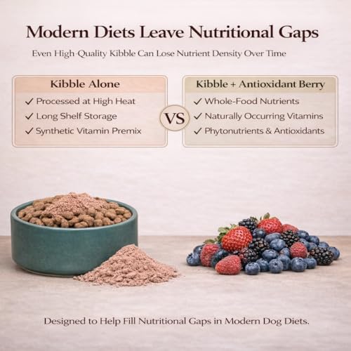 Natural Dog Company Dog Antioxidant Berry Food Topper for Dogs – Superfood Meal Topper & Multivitamin Powder Alternative, Immune Support, All Breeds & Ages Dog Food Seasoning, 8 oz Bag
