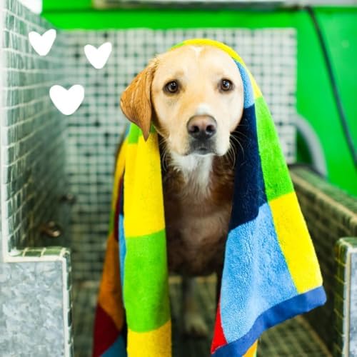 earthbath Oatmeal & Aloe Itch Relief Shampoo, Made in USA, 128 Oz (1 Pack) | Dog & Cat Oatmeal Pet Shampoo, For Itchy and Dry Skin, Cruelty Free, Vanilla and Almond