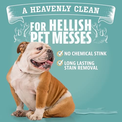 ANGRY ORANGE 1 Gallon Enzyme Cleaner and Deodorizer, Pet Stain and Odor Remover for Dog & Cat Urine and Stains - Orange Rush Scent, Made in USA