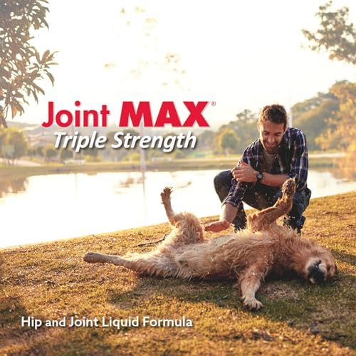 Liquid for Dogs – Glucosamine Chondroitin MSM Hip & Joint Supplement Liquid with Organic Turmeric – All-Natural Dog Joint Support Oil for Mobility, Arthritis, Skin & Coat – 32 fl oz