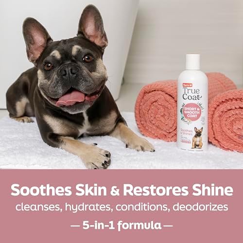 True Coat Short & Smooth Coat Dog Shampoo, 5 in 1 Soothes & Shines with Oat Milk, Coconut Oil & Vitamin E, 16 oz