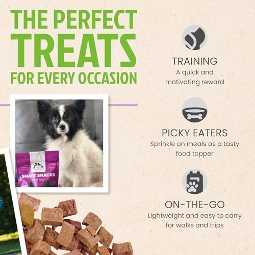 Freeze Dried Dog Treats - Single Ingredient Beef- Healthy, High Value - Freeze Dried Dog Food - Made in the USA – 4 Ounce