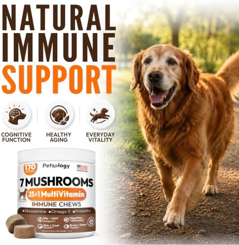 Turkey Tail Mushroom for Dogs - 170 Chews - Lion's Mane, Shiitake & Reishi | Buddy Immune Support Guard - Mushroom Supplement for Dogs Lumps & Bumps - Glucosamine, Health Vitamins & Multivitamin