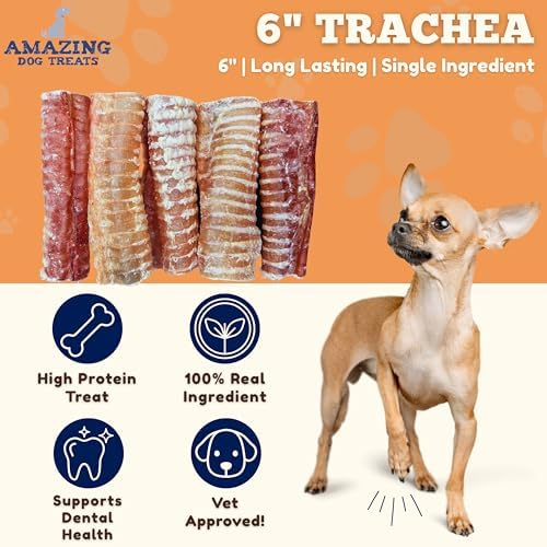 Amazing Dog Treats - 6 Inch Beef Trachea Dog Chews (10 pcs - 16.5 oz) - Trachea Dog Treats - NO Hide - Digestible and Safe Chews for Dogs - Glucosamine and Chondroitin for Joint Health