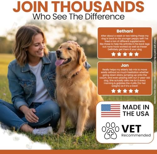 Hip and Joint Supplement For Dogs, 60 Soft Chews, Glucosamine & Chondroitin