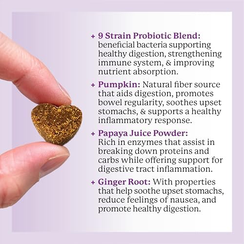 Dr. Harvey's Digestive Probiotic Soft Chews for Dogs