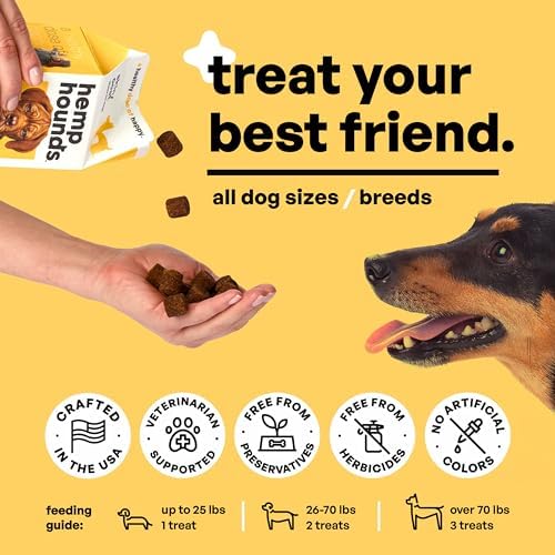 Hemp Hounds - Adaptogenic Skin and Coat Chews for Dogs - 90 Chews - Nutrient Rich Dog Allergy Relief - Omega 3-6-9 - Norwegian Salmon Oil - Collagen - Turmeric - Beef Flavor - Dog Itch Relief
