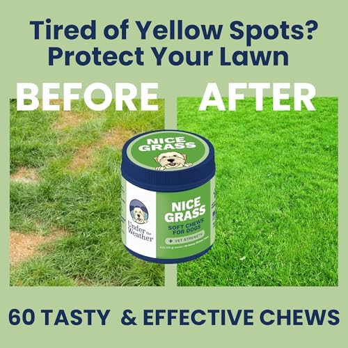 Under the Weather Nice Grass Chews for Dogs | Digestive Enzymes for Dogs | Canine Urine Neutralizer for Grass | Probiotics for Digestive Health | Vet Formulated Lawn Care Supplement | 60 Count