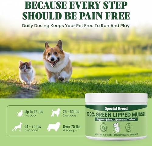 Green Lipped Mussel Powder for Dogs & Cats - 100% New Zealand Green Lipped Mussels - Natural Hip & Joint Supplement for Joints, Tendons, Ligaments, Muscles - 50 Grams - Up to 166 Servings