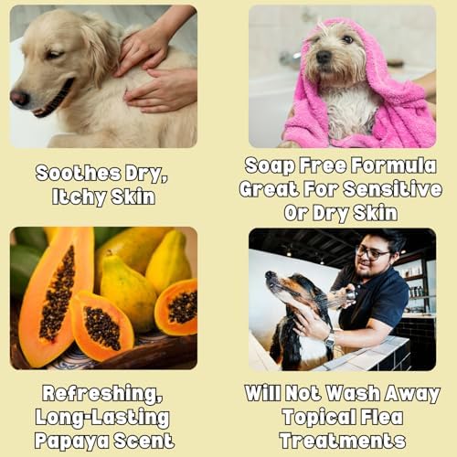 Itch Relief Oatmeal and Aloe Pet Shampoo for Dogs & Cats 1 Gallon | Anti-Itch & Deodorizing Formula | Soothes and Moisturizes Dry Itchy, Sensitive Skin