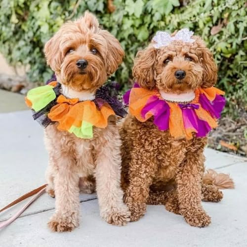 Blueberry Pet Halloween Party Adjustable Breakaway Costume Dog Collar in Warm Tone, Small
