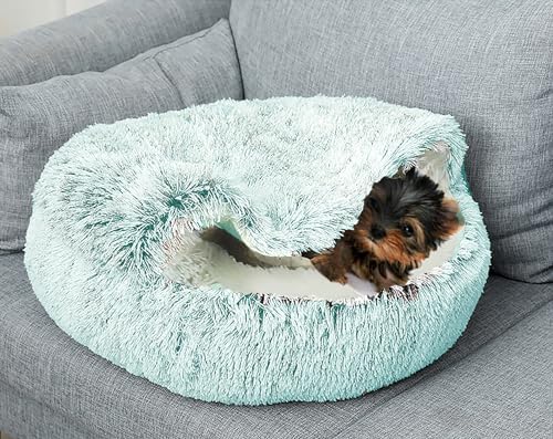 Calming Dog Cave Bed, Small, 20" D, Green