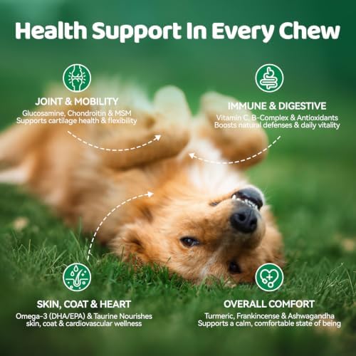 Dog Hip & Joint Supplement – 25-in-1 Glucosamine Chews for Dogs, Chicken Flavor – with MSM, Green Lipped Mussel, Turmeric, Yeast, Omegas & Vitamins – Mobility Support for All Breeds & Ages, 200 ct