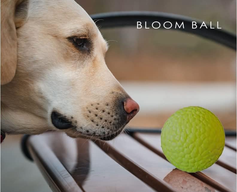 PawfectPals Indestructible Bloom Ball, Floating, Green Velvet
