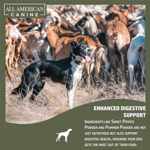 All American Canine Dog Weight Gainer + Digestive Aid, 60 Servings