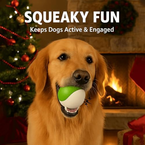 Squeaky Dog Toy, Durable Rubber Ball, Medium & Large Dogs, Green White