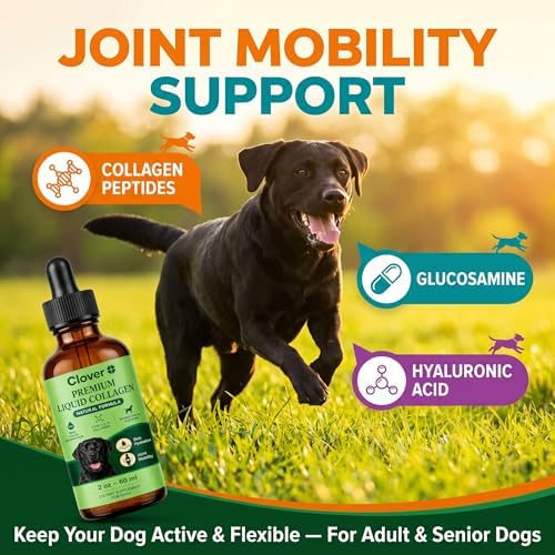 Clover Collagen for Dogs, Triple Hydrolyzed Liquid Collagen Peptides with Glucosamine and Hyaluronic Acid, Joint Mobility Support, Skin and Coat Supplement Drops (1PC)