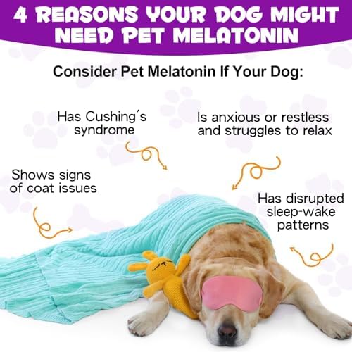Dog Melatonin, Small