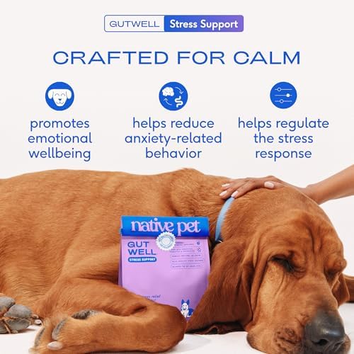 Native Pet GutWell Stress Support, 60 Scoops