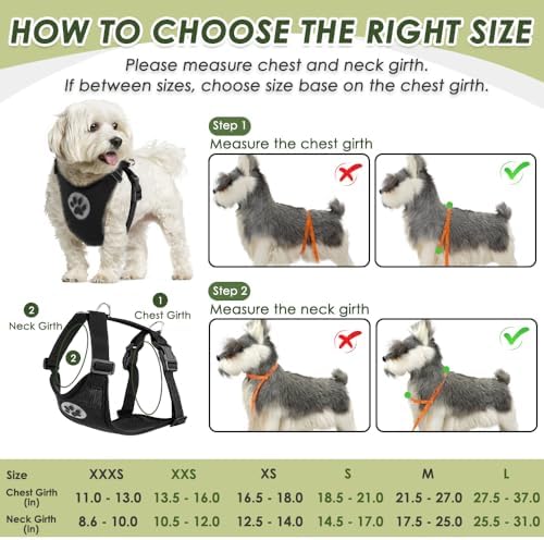 SlowTon Dog Car Seat Belt Harness - B, XXS