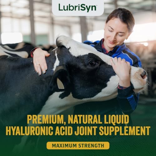 LubriSyn HA Hip & Joint Supplement Plus MSM for Dogs & Cats, 64 oz