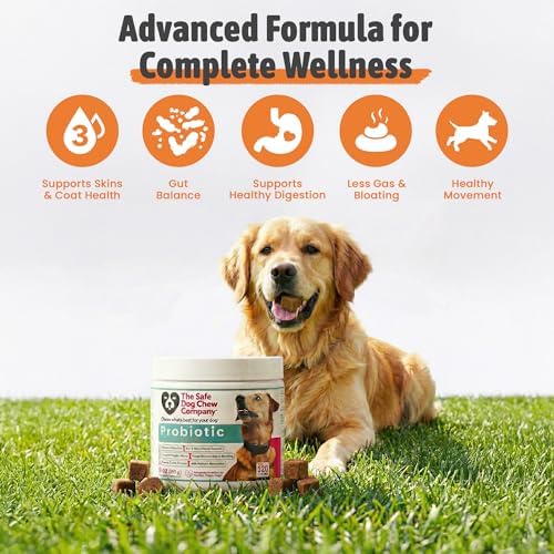 The Safest Probiotic Soft Chews Chicken Flavor 120 Count
