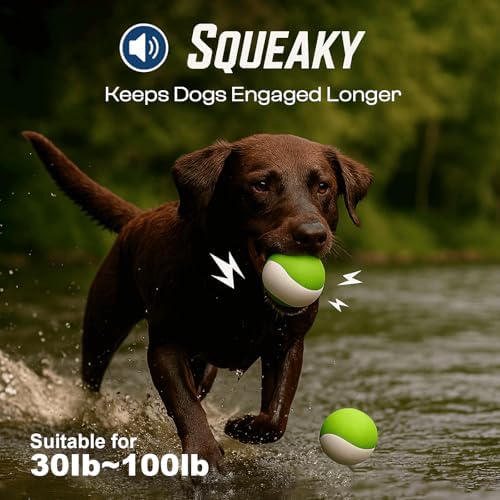 Squeaky Dog Toy, Durable Rubber Ball, Medium & Large Dogs, Green White