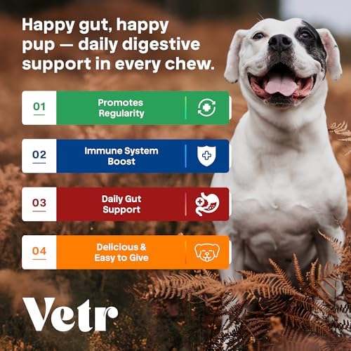 Vetr Probiotic Chews for Dogs - Chicken Flavored - Probiotics for Digestive Health - 120 Soft Chews - Vet-Formulated in USA