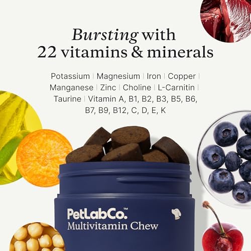 PetLab Co. 22-in-1 Multivitamin Chews, 2-Pack, Pork Flavor | 22 vitamins and minerals in one daily soft chew to support immune health, energy, skin, coat and overall wellbeing