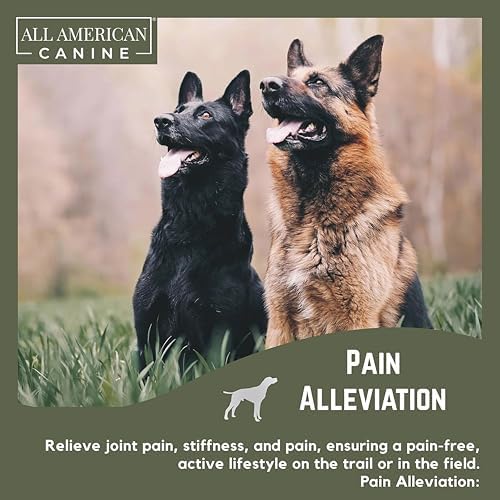 All American Canine Dog Hip & Joint Soft Chews, Glucosamine, 60 Count
