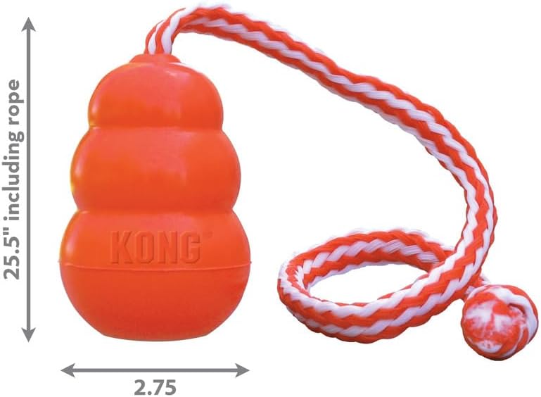 KONG Aqua Classic Dog Toy 2-Pack – Floating Retrieval Toy for Water Play - with Rope (Large)