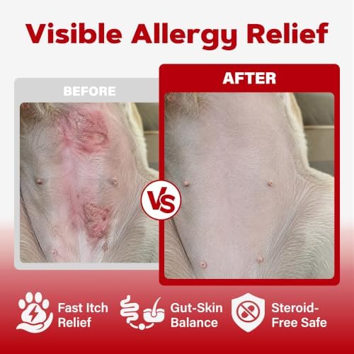 Dog Allergy Supplement,Soothes Itching,Yeast,Paw Licking,Itchy Ears and Seasonal Allergies with Quercetin,Bromelain & Omega-3 Fish Oil Immunity Support & Gut Health for All Ages & Sizes,Chicken Flavor