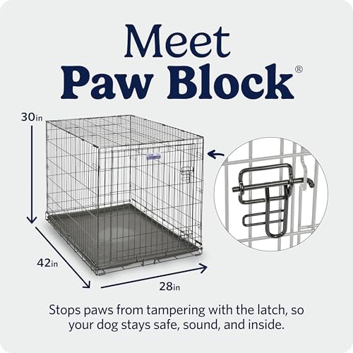 Midwest 42-Inch Single Door iCrate, for Large Breeds, 71-90 lbs